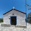 adamsia_