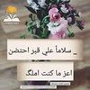 sosen.aln091