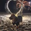 amber.golden.girl