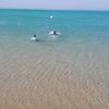 ayman99880