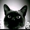 sr_bigotes7