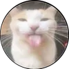 karma._.yes