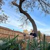 dylan_orlik