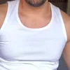 spi.spitspi53gmai