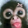 majo_bello_coria.0