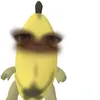 aagupyxrr_