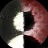 vit.mix4