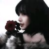 nily_jisie