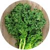 kale.madelon