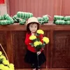 daucutiii_