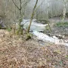 gelu.ivan