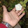 feryal.geribawy72