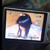 user7467821271068