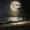 abosaleh_23