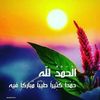 belaidi.kamal