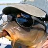 saltwater_fishing_40