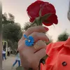 rosa.bela491