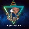 bourjiaquarus0
