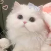 tmy_miu