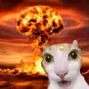 vit_tiv0