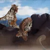 ecoslabreaa