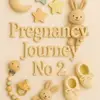 pregnancyjourneyno2