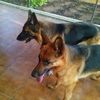 paqui.mor