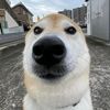 aseruixcfro