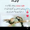 ghalia.ambreen