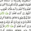 nadeemshakir739