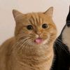 oyen2122