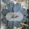 user40122465466117