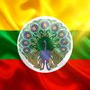 sunlay1198
