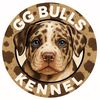 Von GG Bulls Laguboti