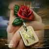 sumaya01185