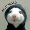 its_zylo360