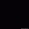 _dgh.1105