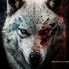 wisal.abbas8