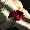 mrajz_b
