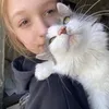 sooophiiiks