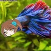 amarisala
