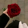 mariamwesam579