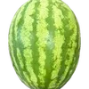 watermelonq23