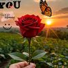 user2603982008019