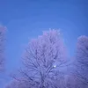 sc1kfm