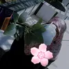 houry.6