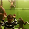 juancitoibanezz