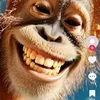 beauxgosse29