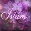 Sara_QuranVerses