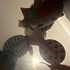 usercachorrito1